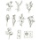 Creativ Company Masking Tape stickers, zwart/wit bloemen, afm 30-50 mm, 30 stuk/ 1 doos