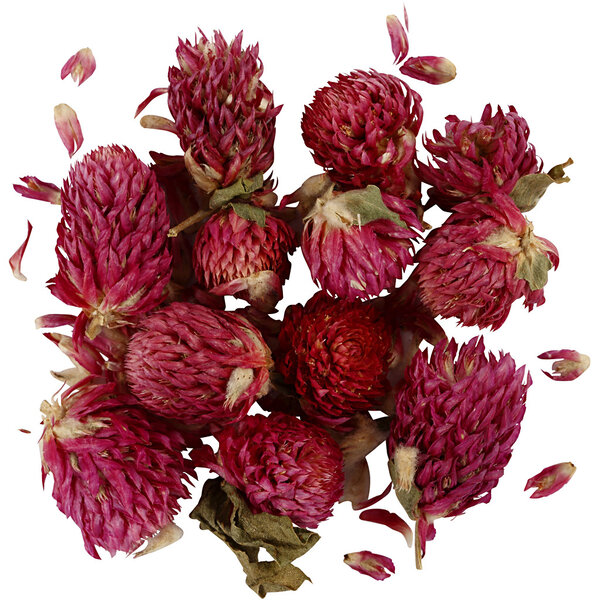 Creativ Company Gedroogde Bloemen, Rode klaver, L: 1,5-2,5 cm, d 1 - 1,5 cm, 15 gr, paars, 1 doos