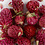 Creativ Company Gedroogde Bloemen, Rode klaver, L: 1,5-2,5 cm, d 1 - 1,5 cm, 15 gr, paars, 1 doos