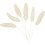 Creativ Company Hazenstaart gras, L: 3-7 cm, 6 stuk/ 1 doos