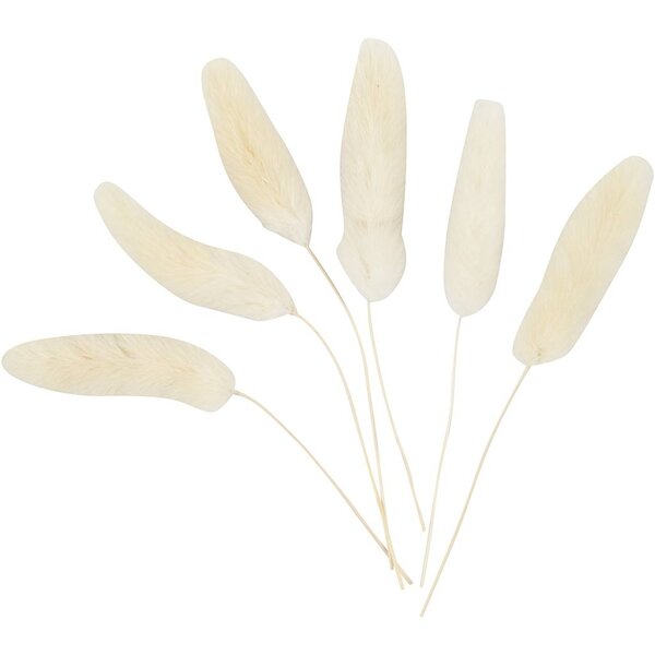 Creativ Company Hazenstaart gras, L: 3-7 cm, 6 stuk/ 1 doos