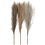 Creativ Company Pampasgras, L: 50 cm, licht beige, lichtbruin, lichtgrijs, 3 stuk/ 1 bol