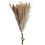 Creativ Company Pampasgras, L: 50 cm, licht beige, lichtbruin, lichtgrijs, 3 stuk/ 1 bol