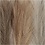 Creativ Company Pampasgras, L: 50 cm, licht beige, lichtbruin, lichtgrijs, 3 stuk/ 1 bol