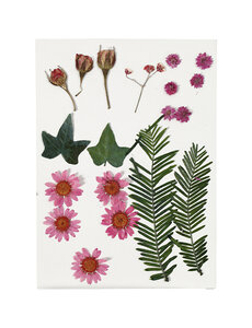 Creativ Company Gedroogde bloemen en bladeren