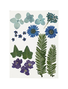 Creativ Company Gedroogde bloemen en bladeren
