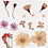 Creativ Company Gedroogde bloemen en bladeren, lichtroze, 1 doos