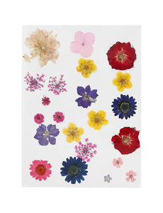 Creativ Company Gedroogde bloemen en bladeren