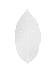 Creativ Company Skeleton leaves