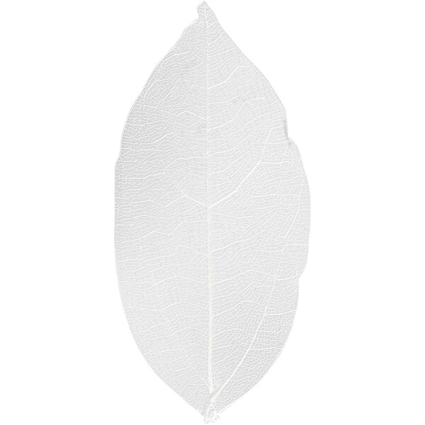 Creativ Company Skeleton leaves , L: 6-8 cm, wit, 20 stuk/ 1 doos