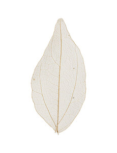 Creativ Company Skeleton leaves