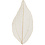 Creativ Company Skeleton leaves , L: 4,5-8 cm, naturel, 20 stuk/ 1 doos