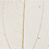 Creativ Company Skeleton leaves , L: 4,5-8 cm, naturel, 20 stuk/ 1 doos