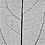 Creativ Company Skeleton leaves , L: 6-8 cm, zwart, 20 stuk/ 1 doos