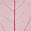 Creativ Company Skeleton leaves , L: 6-8 cm, rood, 20 stuk/ 1 doos