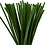 Creativ Company Chenille, L: 30 cm, dikte 6 mm, dennegroen, 50 stuk/ 1 doos