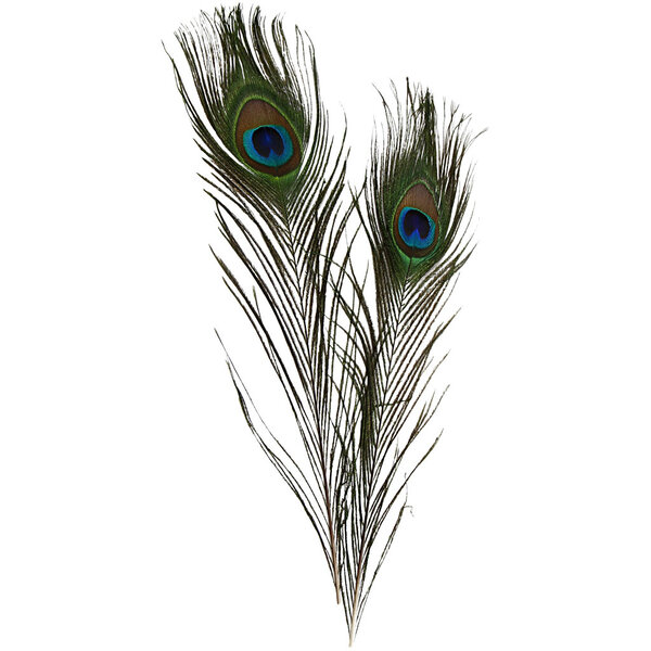 Creativ Company Pauwenveren, L: 25-30 cm, 10 stuk/ 1 doos