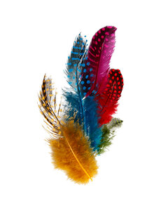 Creativ Company Veren van parelhoen