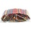 Creativ Company Constructiehoutjes, L: 11,4 cm, B: 10 mm, diverse kleuren, 1000 stuk/ 1 doos
