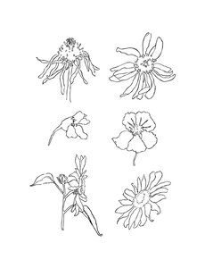 Creativ Company Silicone stempels, zomer, vel 11x15,5 cm, 1 vel