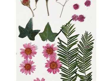 DIY kits, bloemschikken en mandenvlechten