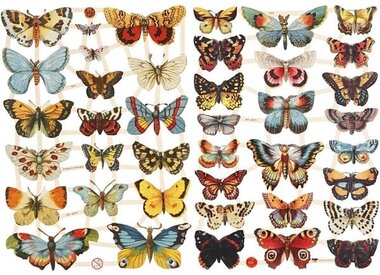 Afbeeldingen voor scrapbooken