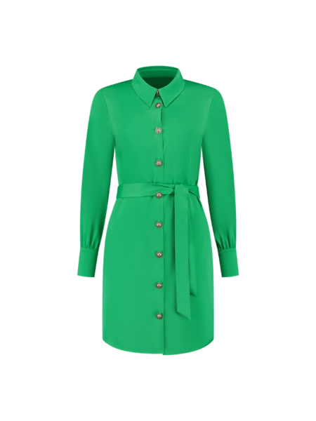 Nikkie Rafi Dress - Fern Green