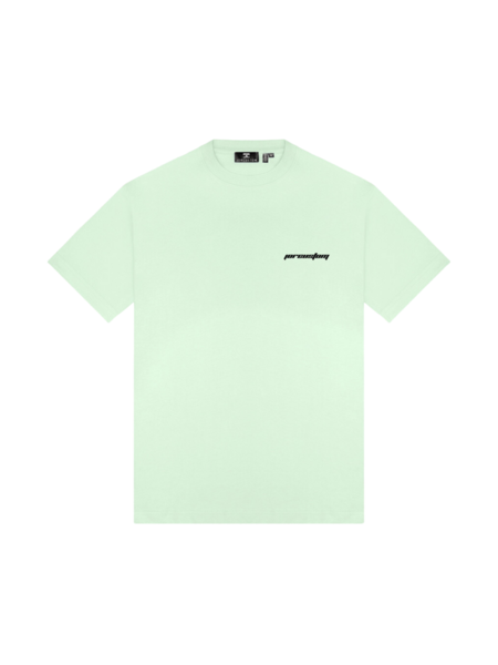 JorCustom JorCustom Artificial Loose Fit T-Shirt - Mint