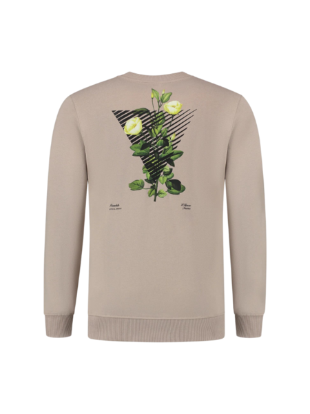 Purewhite Floral Traingle Graphic Sweater - Taupe