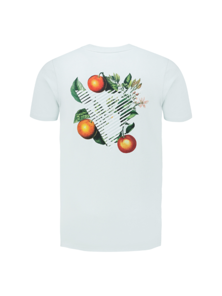 Pure Path Triangle Orange Branch T-Shirt - Mint