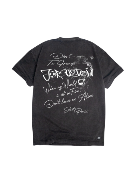 JorCustom JorCustom Panther Loose Fit T-Shirt - Acid Grey