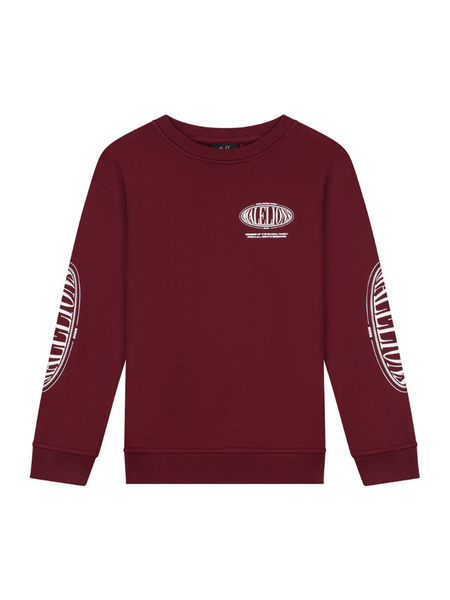 Malelions Kids Relaxed Lifestyle Sweater - Burgundy Malelions Malelions Kids Relaxed Lifestyle Sweater - Burgundy