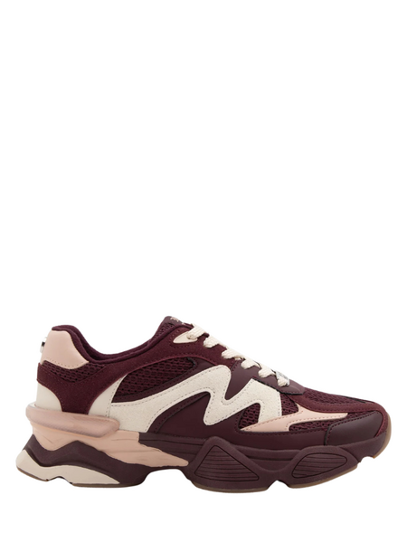 Steve Madden Steve Madden Speeder Sneaker - Wine/Pink Steve Madden Speeder Sneaker - Wine/Pink