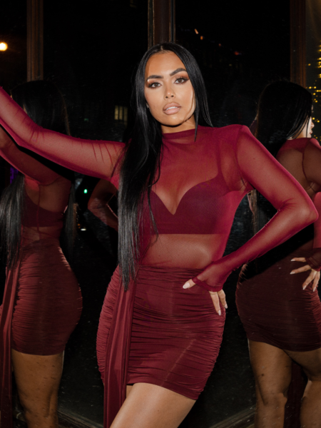 Unique The Label Kiki Mesh Dress - Deep Cherry Kiki Mesh Dress - Deep Cherry