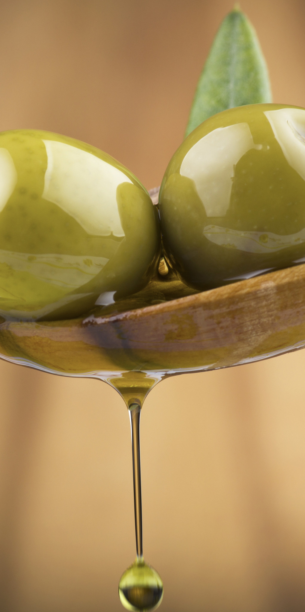 Over olijfolie - De Shop. Lekker gezond De Olijfolie