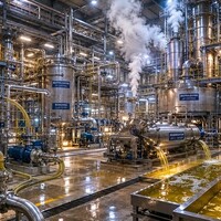 De Chemische Transformatie: Het Raffinageproces van olijfolie