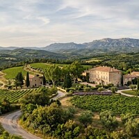 De Kracht van de Provence: Hoe George Lucas de Perfecte Olijfolie Vond op Domaine Margüi