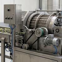 Ontpitte olijfolie: een eeuwenoud idee of een moderne hype?