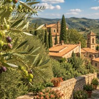 Frantoio, de Italiaanse olijf voor elegante en verfijnde olijfolie