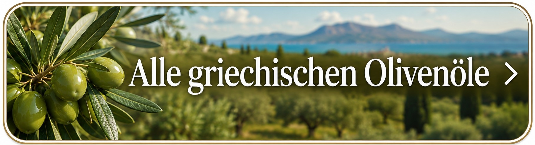 Alle griechischen Olivenöle ansehen