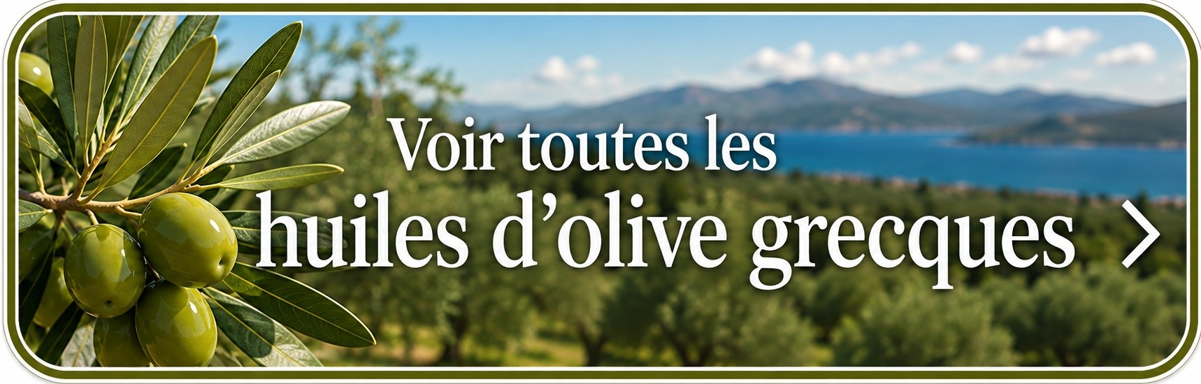Voir toutes les huiles d’olive grecques