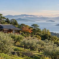 De onwaarschijnlijke olijf van Japan: hoe Shōdoshima de boom liet wortelen