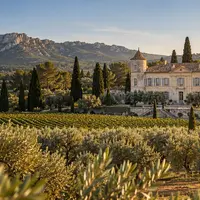 Château d’Estoublon: waar Provençaalse olijfolie Hollywood-allure krijgt