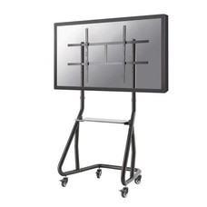Newstar Mobile Flat Screen Floor Stand (stand+trolley) (height: 152-169 cm)