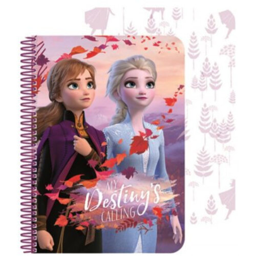 Frozen Disney Frozen Notitieboekje 3D - A5 Formaat