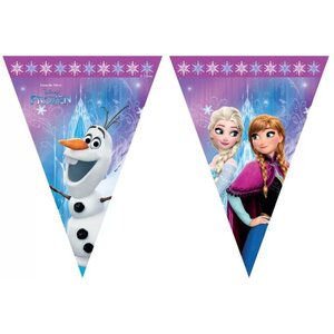 Frozen Disney Frozen Vlaggenlijn - Northern Lights
