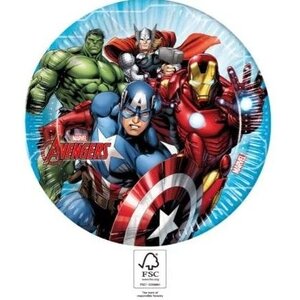 Avengers 8 Avengers Feestbordjes - Eco Friendly