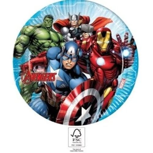 Avengers 8 Avengers Feestbordjes - Eco Friendly