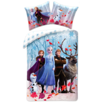 Disney Frozen Dekbedovertrek 140 x 200 cm - Group