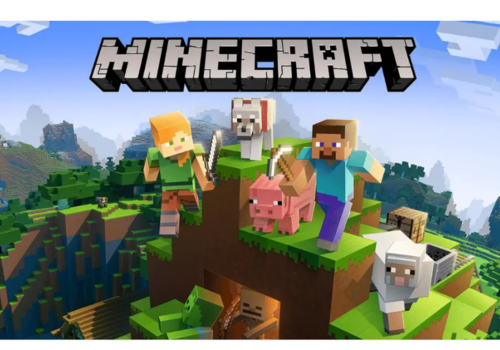 Minecraft feestartikelen